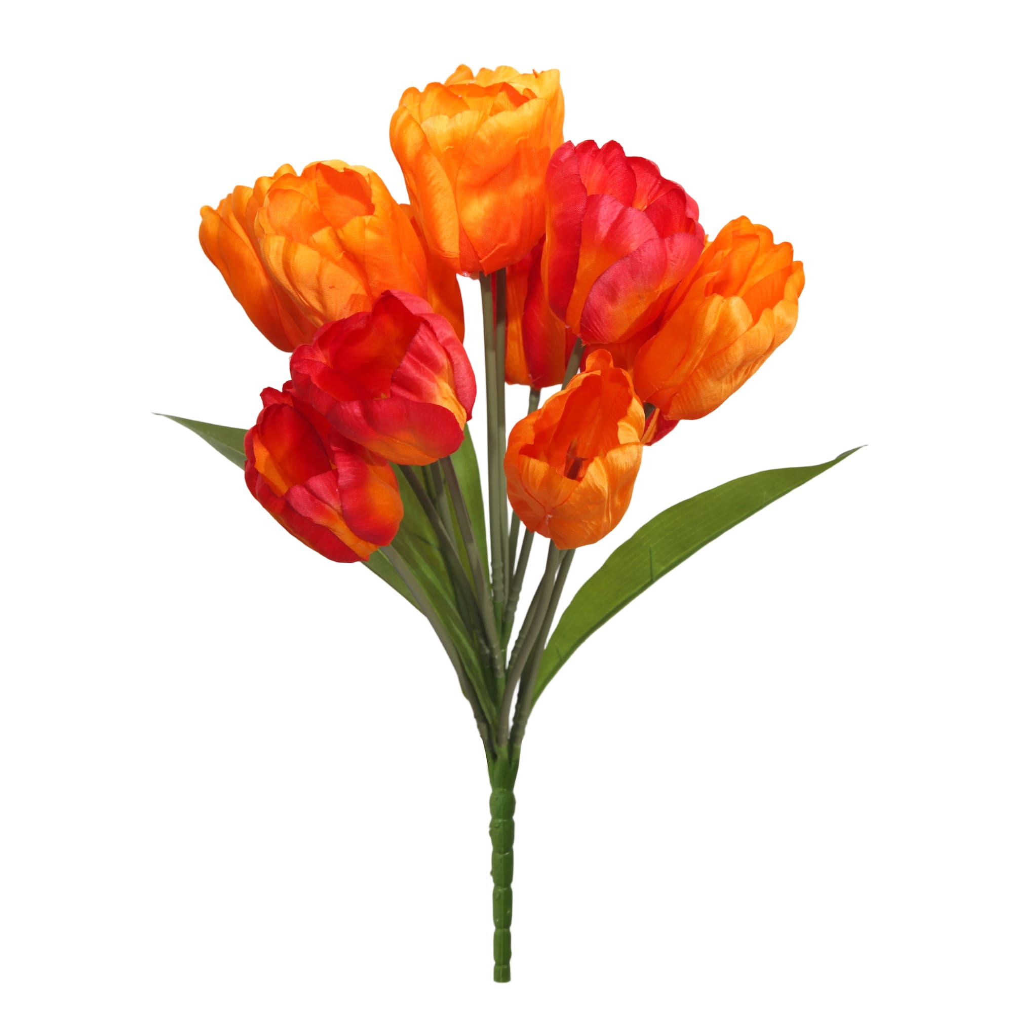 19" Tulip Bush by Ashland